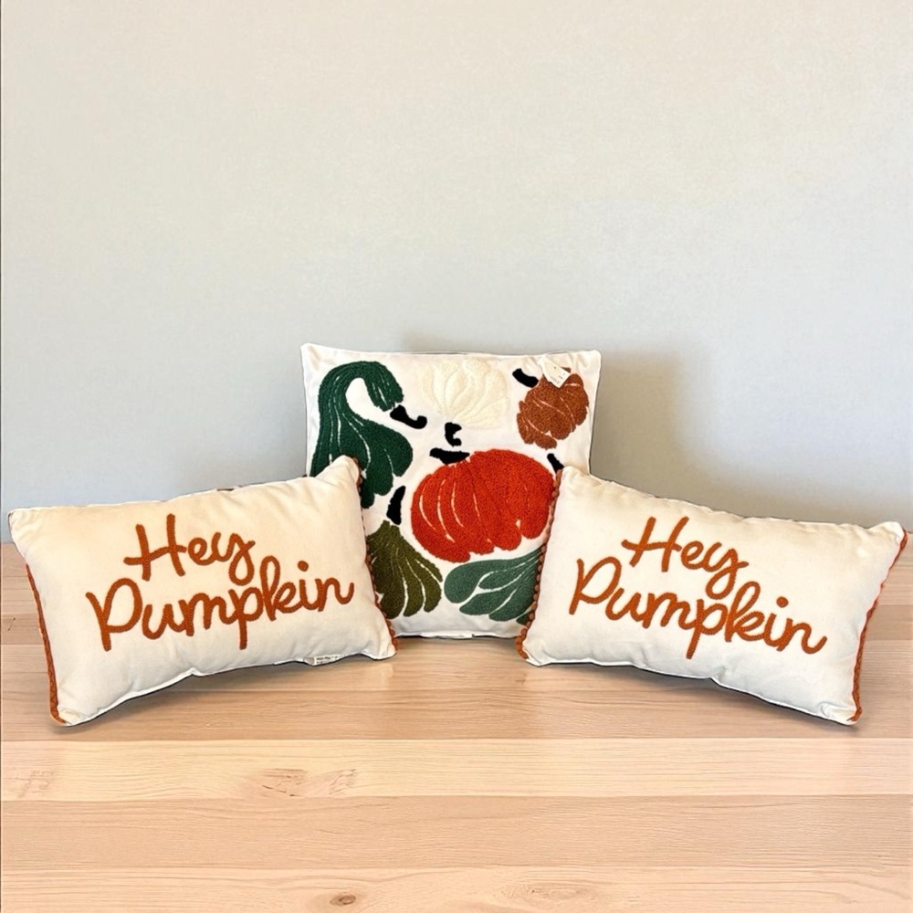 Target Pumpkin Gourd Festive Autumn Throw Pillow Set of 3 Fall Halloween